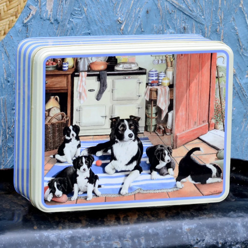 Elite Tins Aufbewahrungsdose - Border Collies