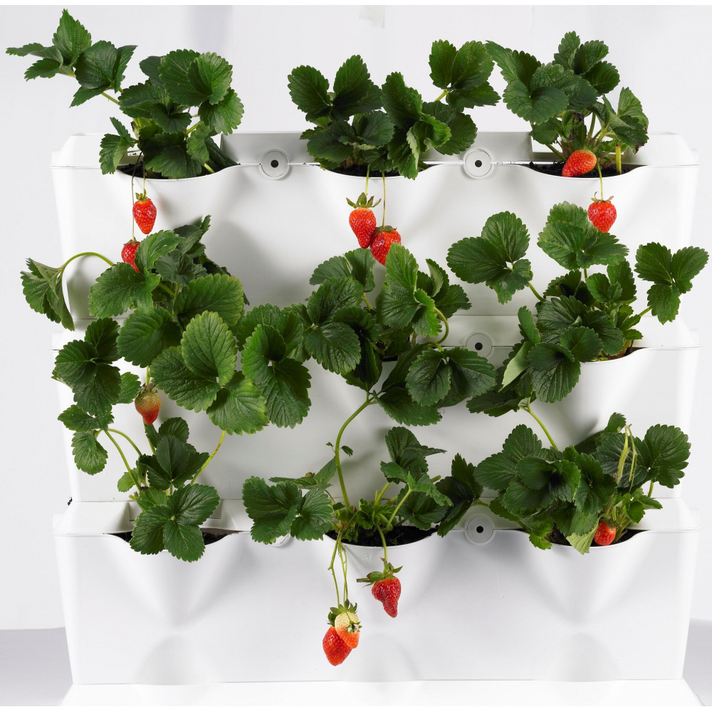 Minigarden Verticale plantenwand - groen - Afbeelding 4