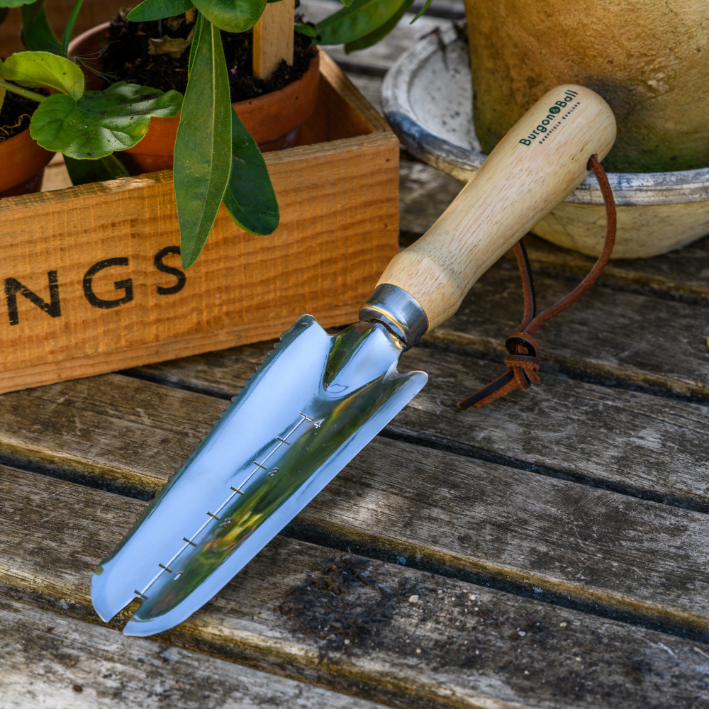 Burgon & Ball Jätekelle - Bild 4