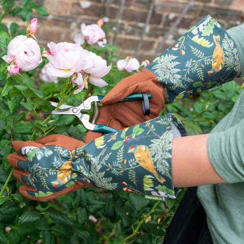 Burgon & Ball lange Gartenhandschuhe - Die Wunder des Waldes