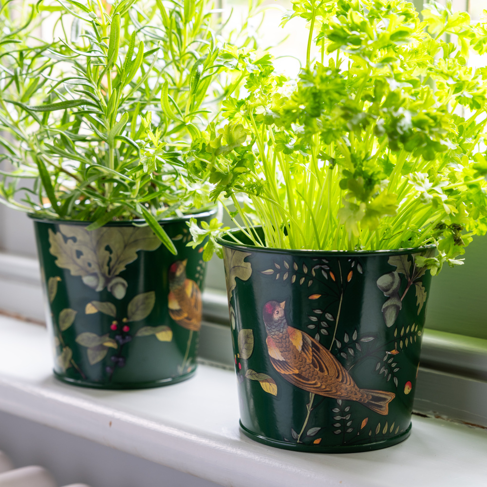 Burgon & Ball herb pots, 2 pcs. - Wonders of the Forest - Image 2