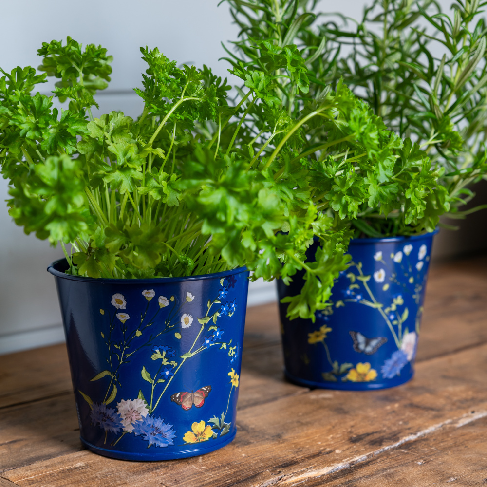 Burgon & Ball plant pots, 2 pcs. - British meadow - Image 2
