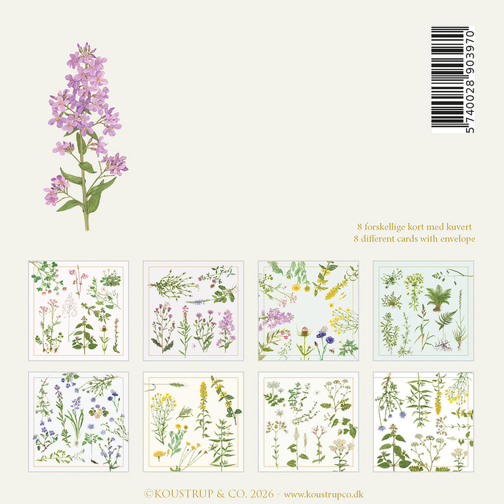 Koustrup & Co. kaartenmap - De kleuren van de flora - Afbeelding 5