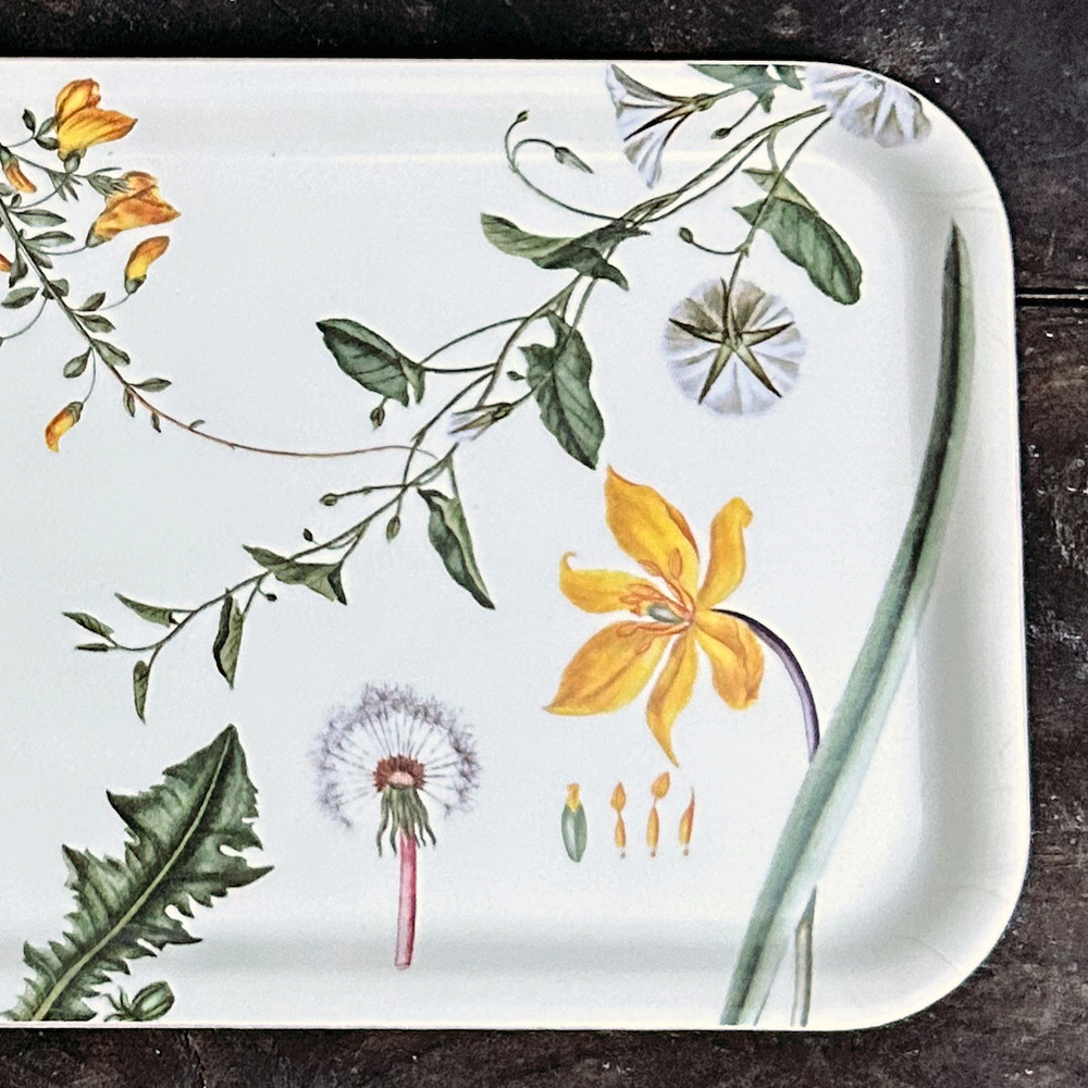 Flora Danica bakke, 32x15 - Gule blomster - Billede 3