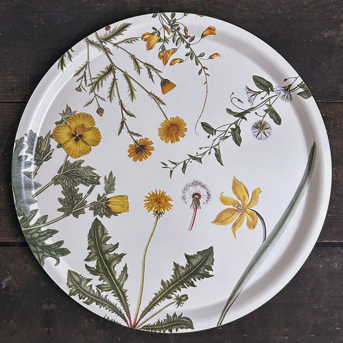 Flora Danica Tablett, Ø38 - gelbe Blumen