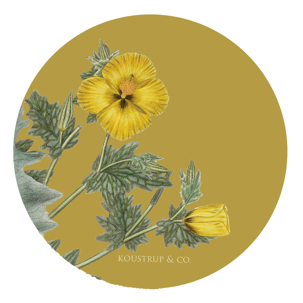 Flora Danica glasbrikker - Gule blomster - Billede 3