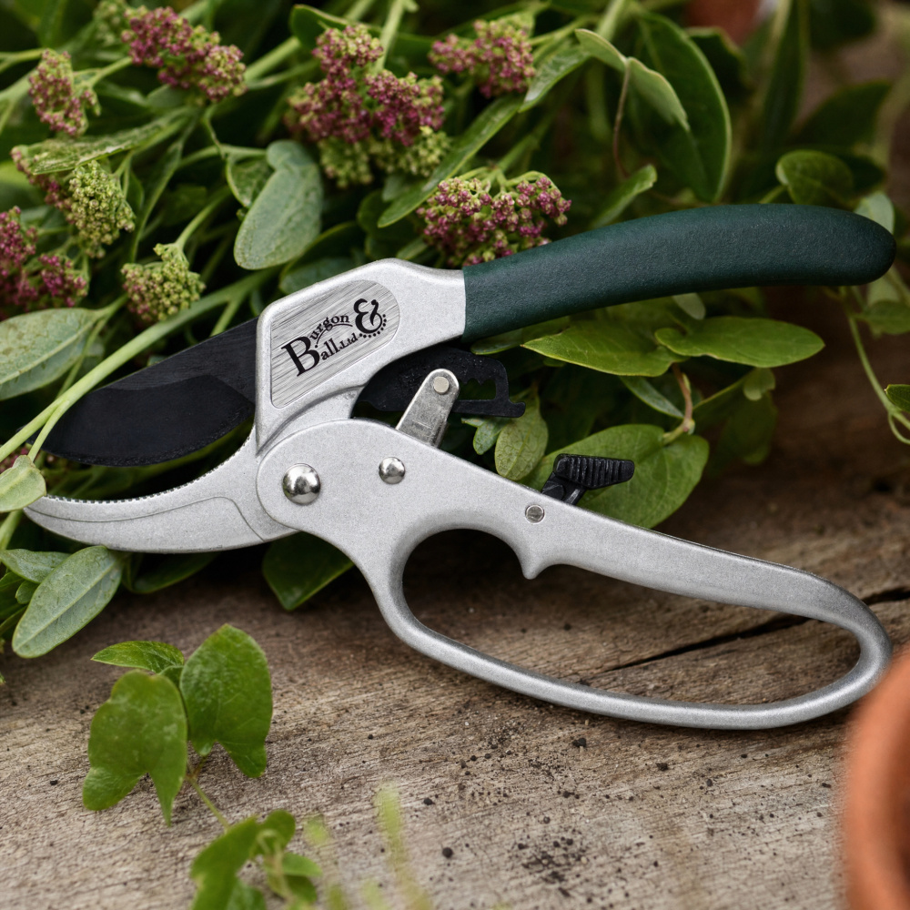 Burgon & Ball pruning shears with exchange - Image 2