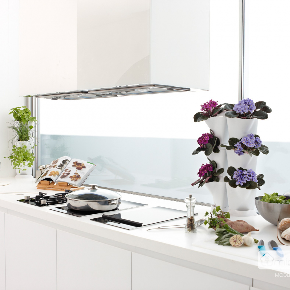 Minigarden Corner plantenwand - groen - Afbeelding 3