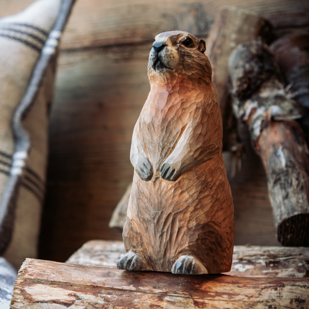 Wildlife Garden trädjur - Murmeldjur - Bild 6