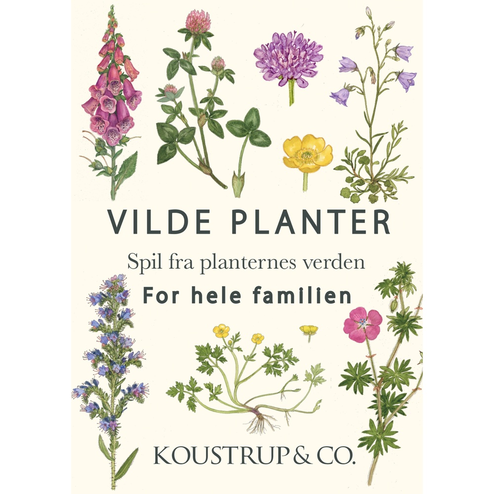 Koustrup & Co. jeu de cartes sur les plantes sauvages - Image 3