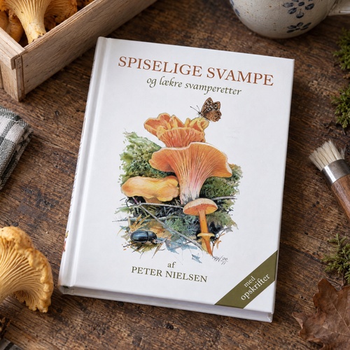 Koustrups kleine weiße - Essbare Pilze