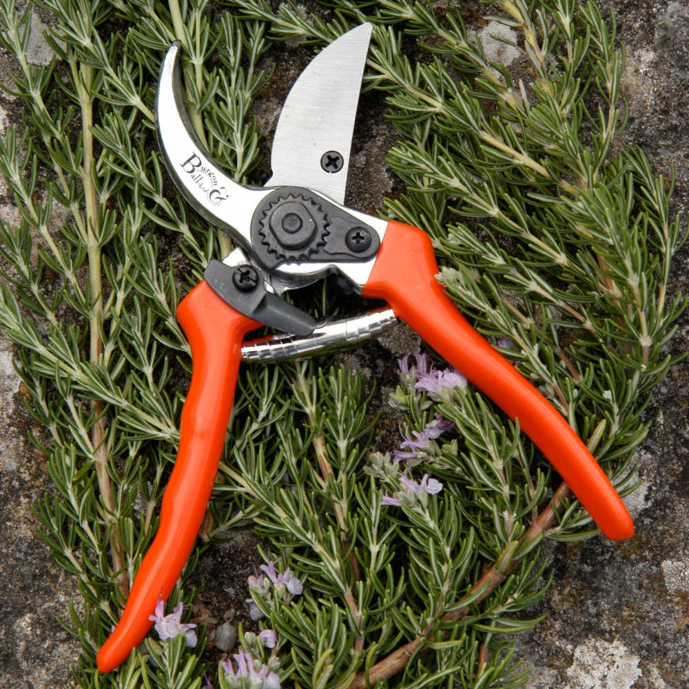 Burgon & Ball pruning shears - Image 2