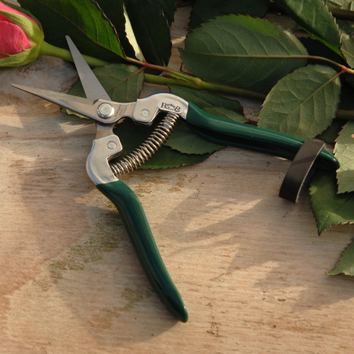 Burgon & Ball blommor och frukt sax