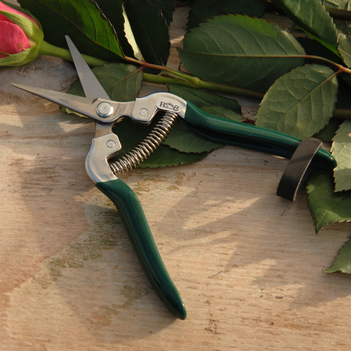 Burgon & Ball blomster og frugt saks