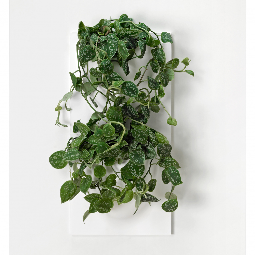 VertiPlants väggkruka - vit - Bild 15