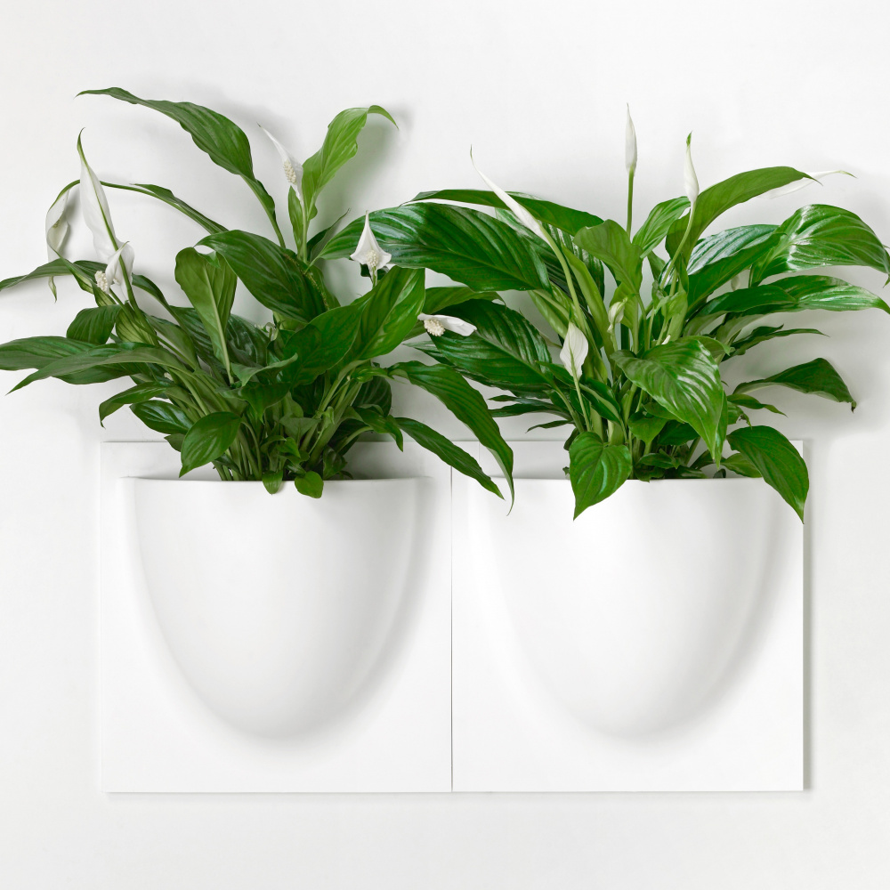 VertiPlants väggkruka - vit - Bild 11