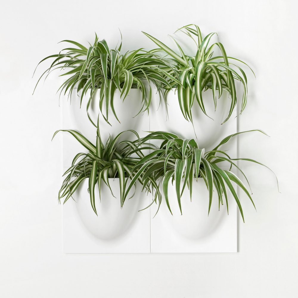 VertiPlants väggkruka - vit - Bild 12