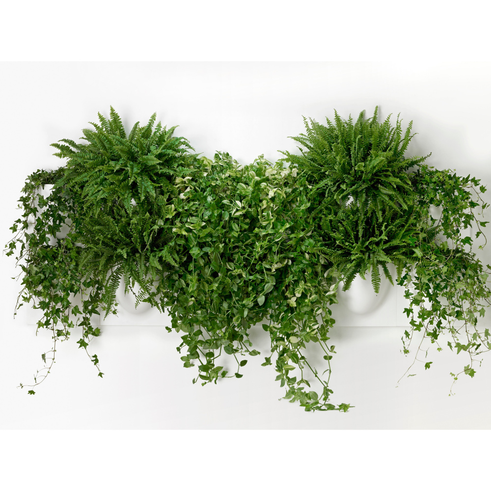 VertiPlants väggkruka - vit - Bild 13