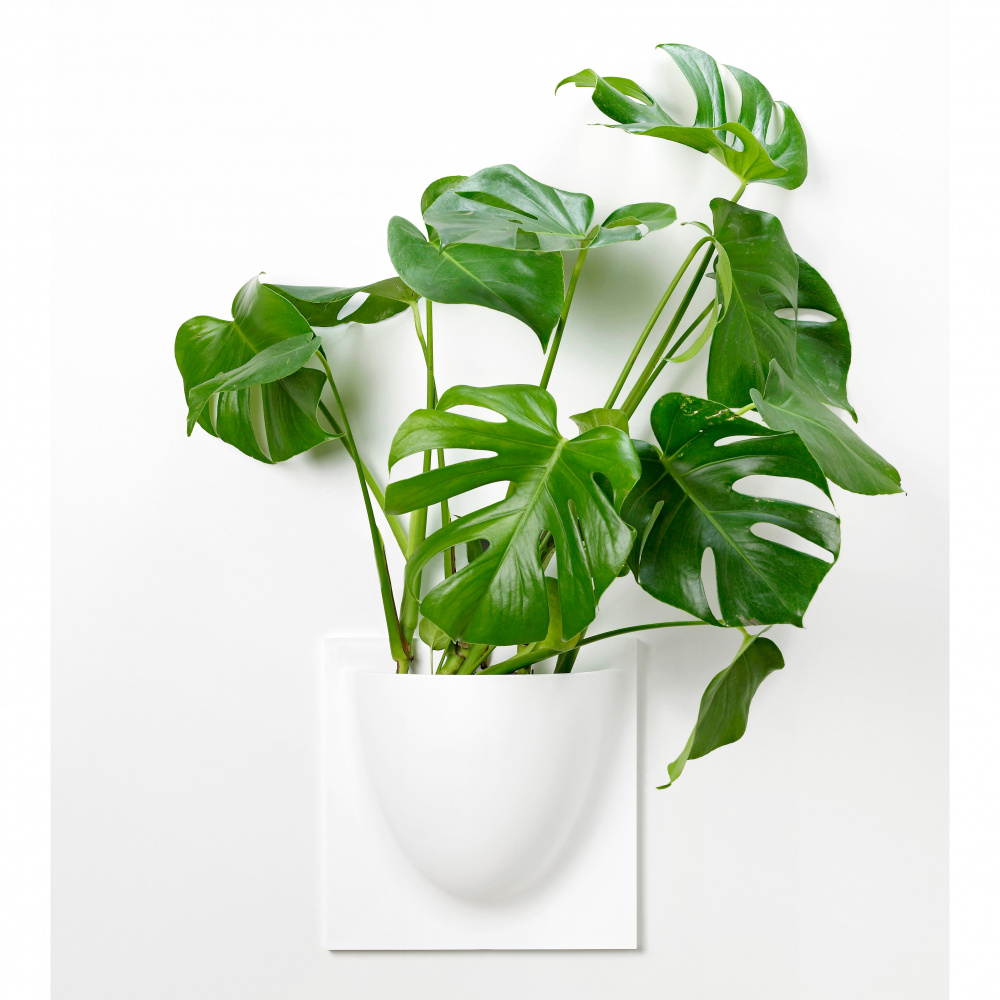 VertiPlants väggkruka - vit - Bild 7