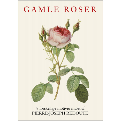 Koustrup & Co. Kartenmappe - alte Rosen