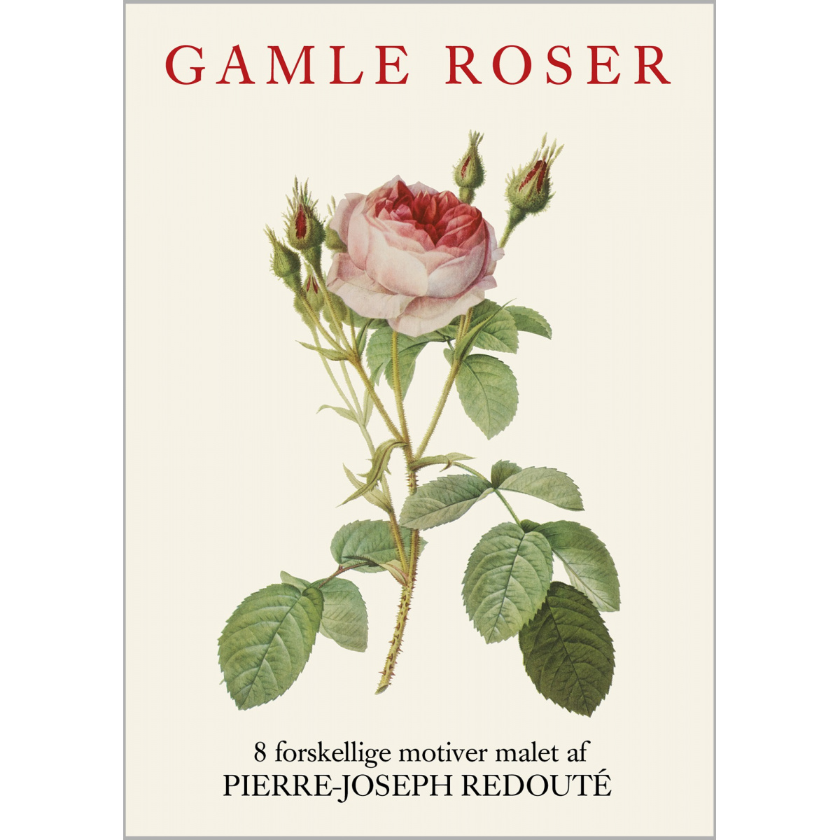 Koustrup & Co. kortmapp - gamla rosor