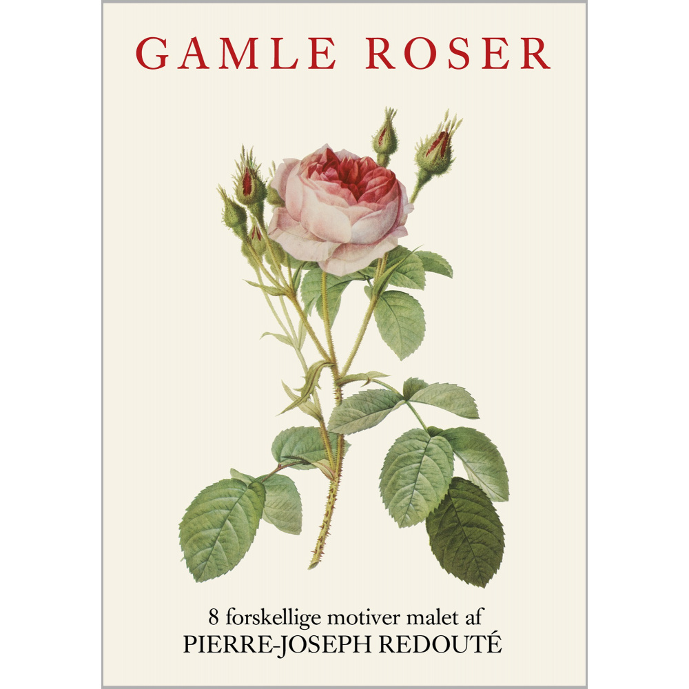 Pochette à cartes Koustrup & Co. - roses anciennes