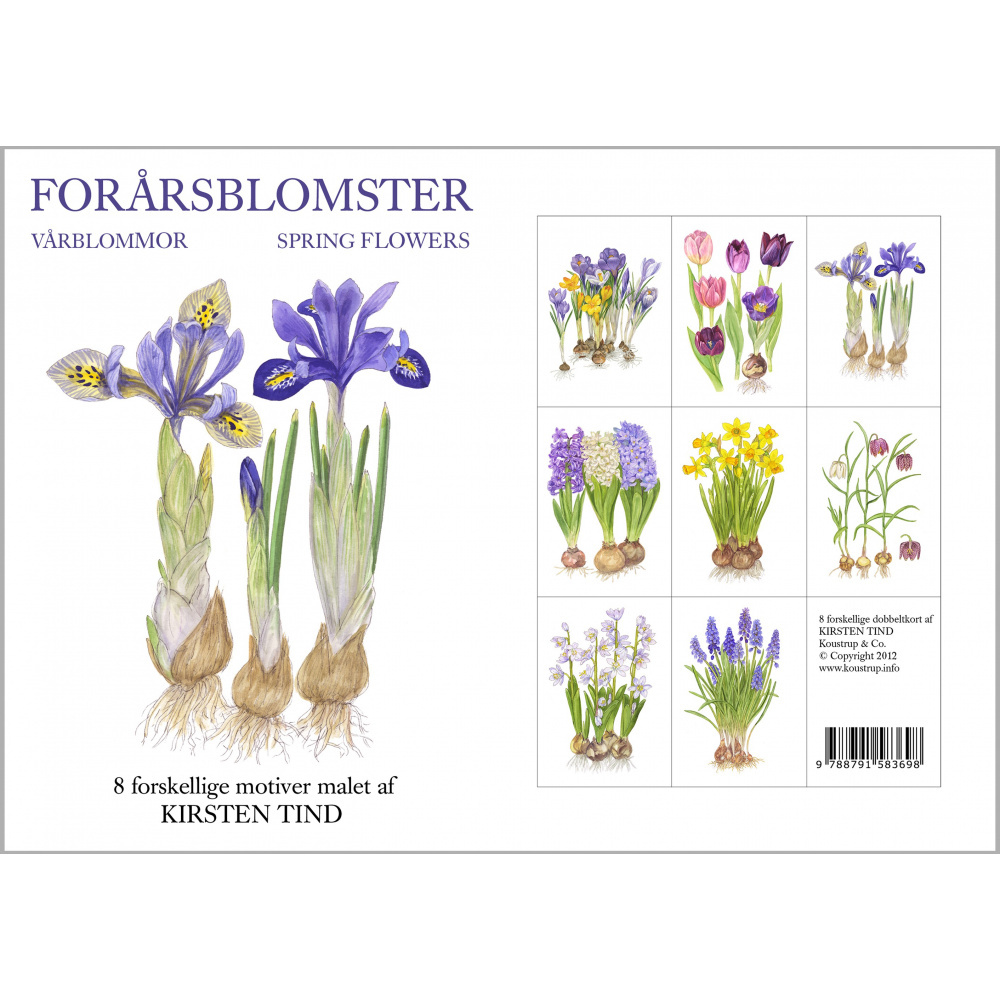 Koustrup & Co. kortmapp - vårblommor - Bild 2