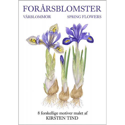 Koustrup & Co. Kartenmappe - Frühlingsblumen