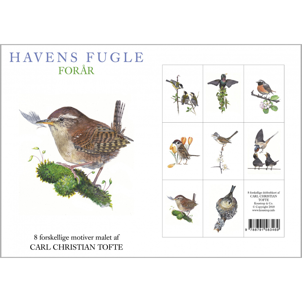Koustrup & Co. kaartenmap - vogels, lente - Afbeelding 2