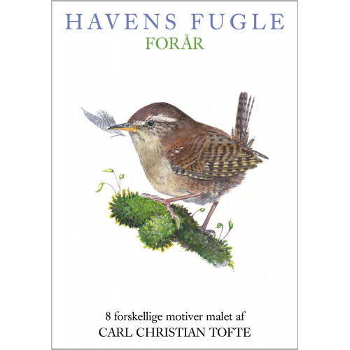 Koustrup & Co. Kartenmappe - Vögel, Frühling