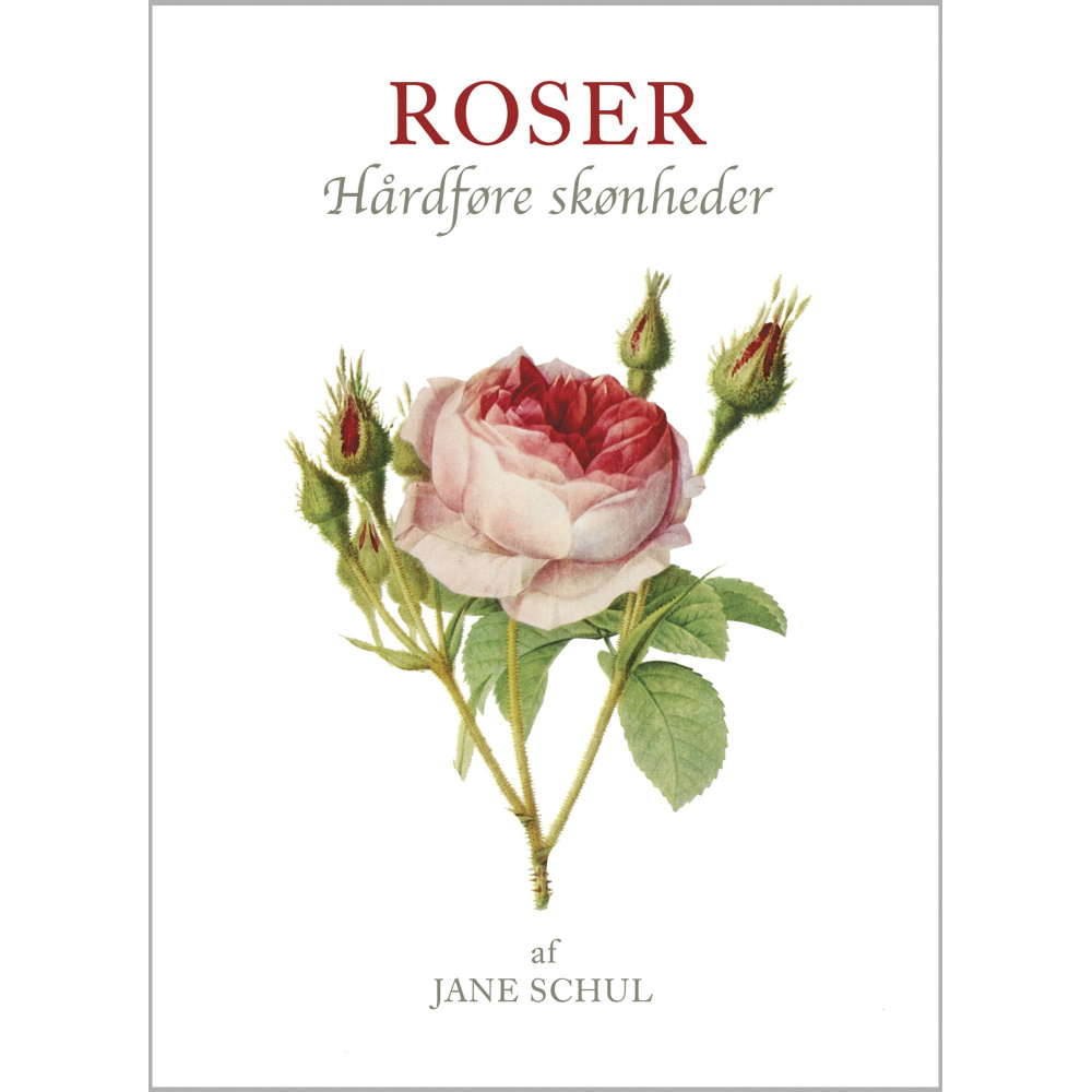 Koustrups små vita - Rosor