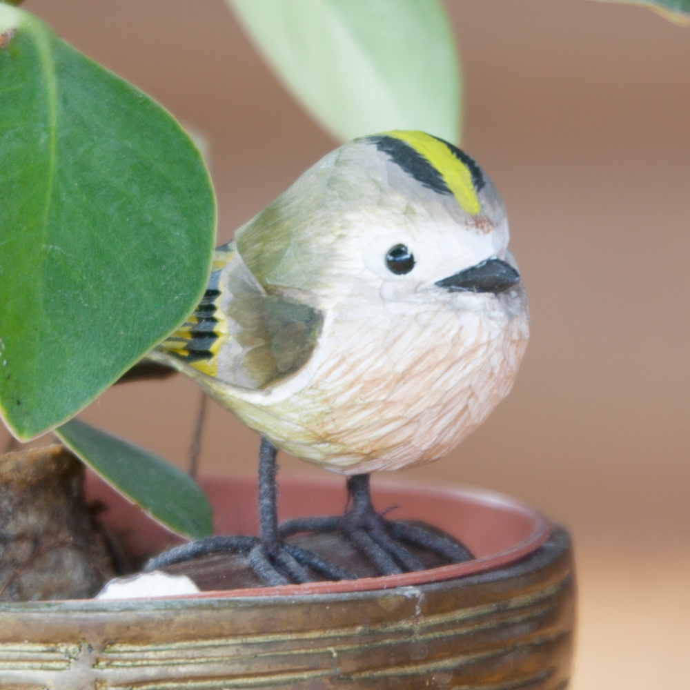 Wildlife Garden oiseau en bois - roitelet huppé