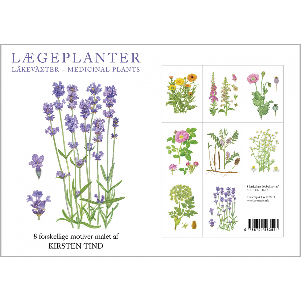 Pochette de cartes Koustrup & Co. - plantes médicinales - Image 2