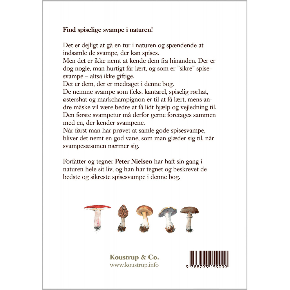 Koustrups kleine witte - Eetbare paddenstoelen - Afbeelding 3