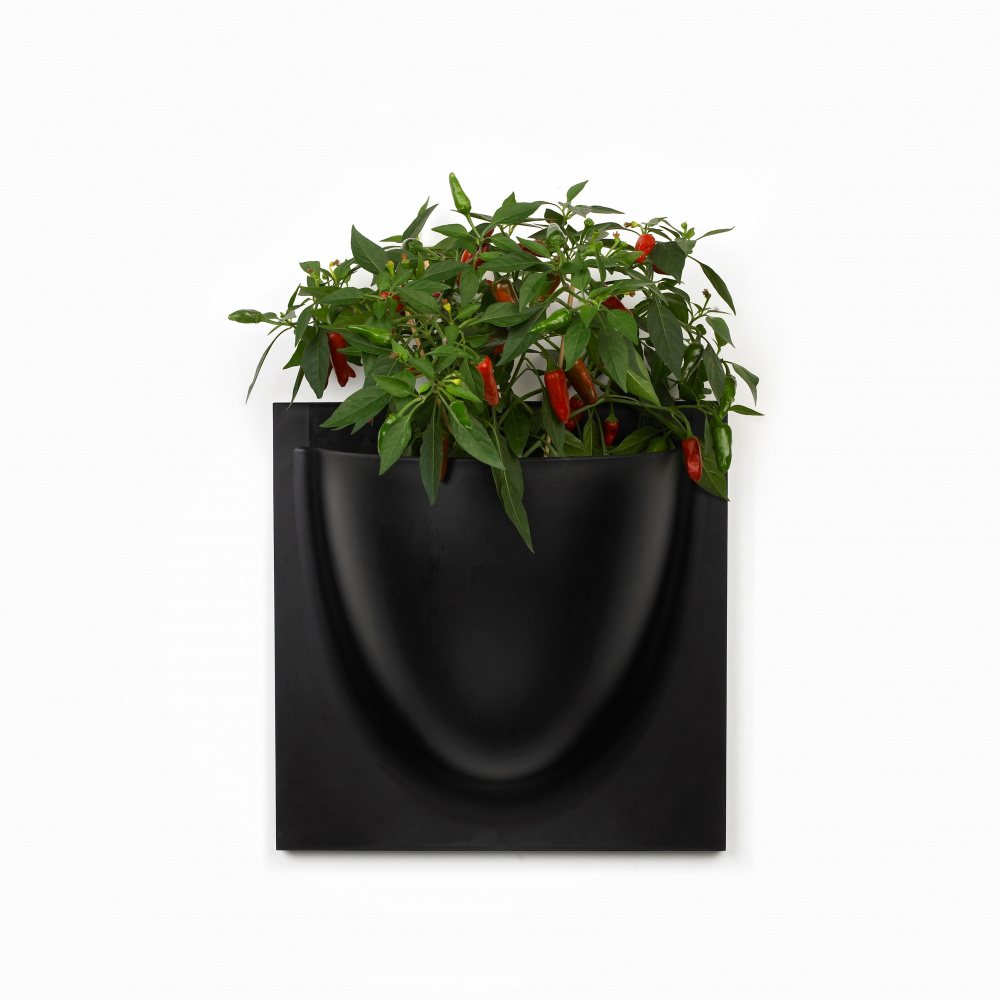VertiPlants pot mural - noir - Image 3