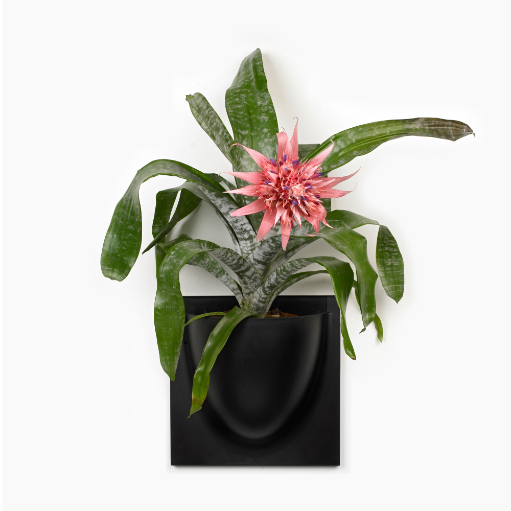 VertiPlants väggkruka - svart - Bild 4