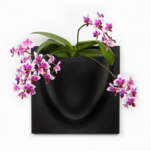 VertiPlants väggkruka - svart