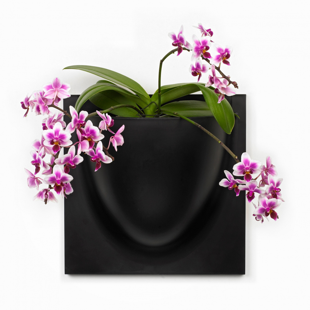 VertiPlants väggkruka - svart