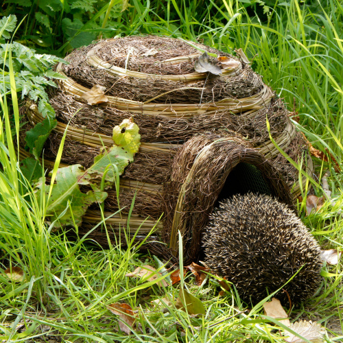 Wildlife World hedgehog house in wicker
