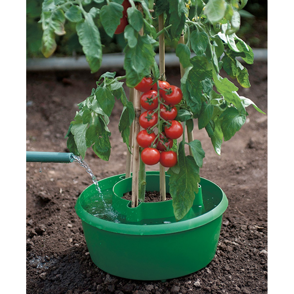 Garland plantenringen, 3 stuks. - Afbeelding 3