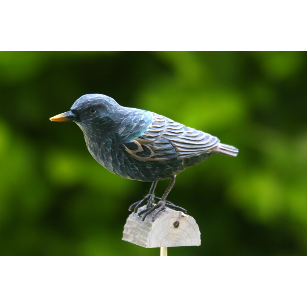 Wildlife Garden Holzvogel – Star - Bild 2