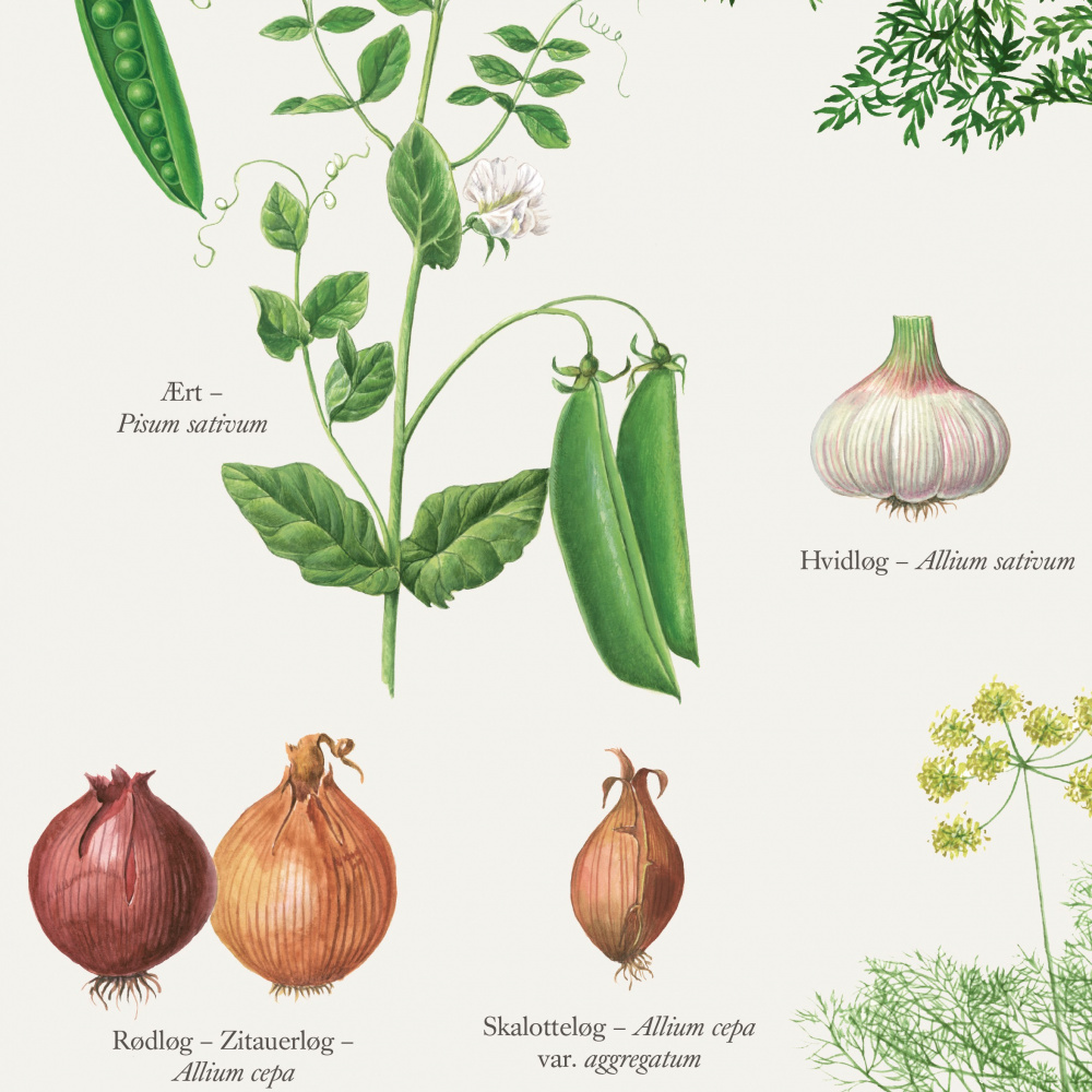 Koustrup-poster - De moestuin, A2 - Afbeelding 2