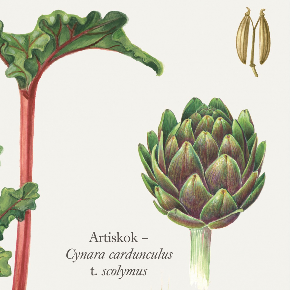 Koustrup-poster - De moestuin, A2 - Afbeelding 3
