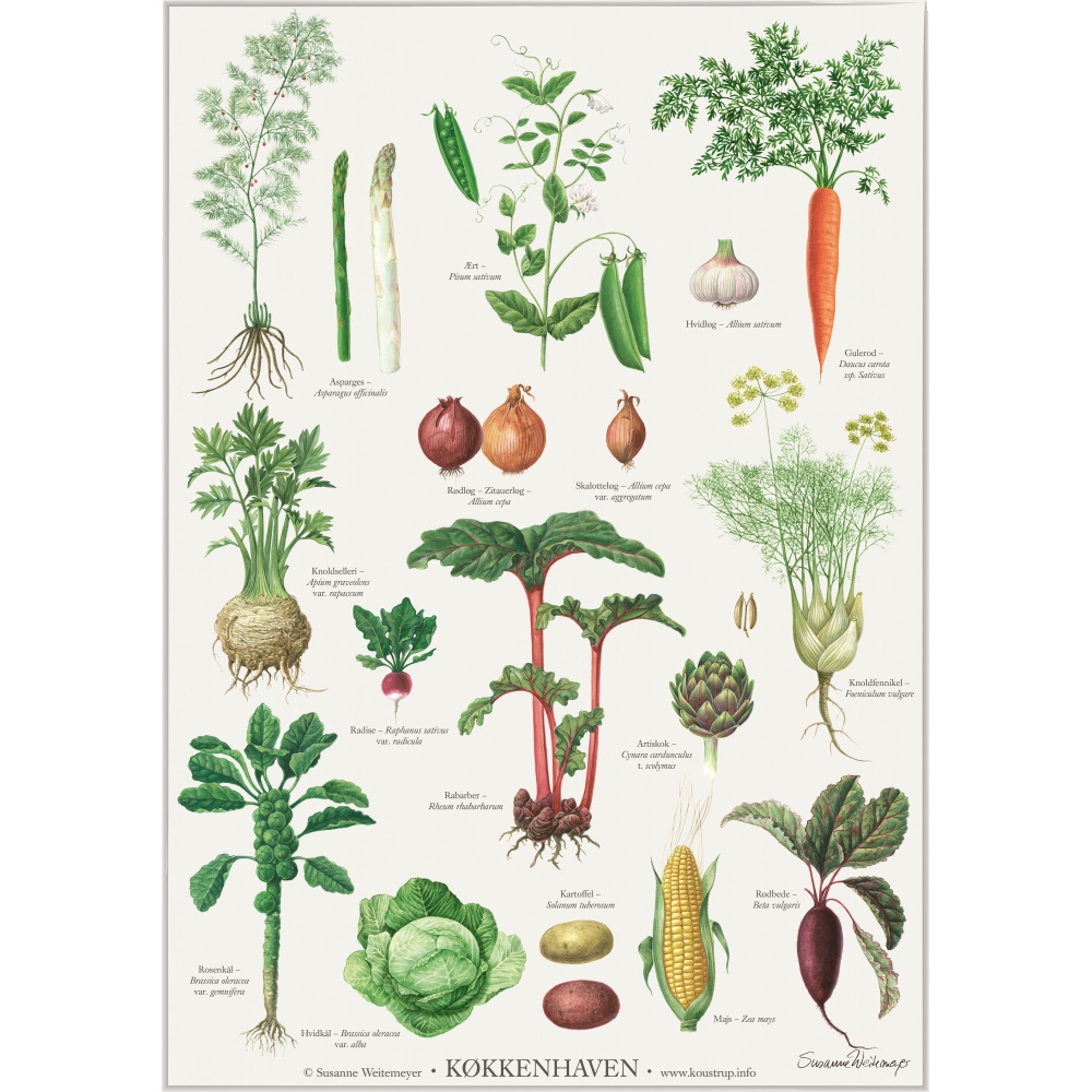 Affiche Koustrup - Le potager, A2