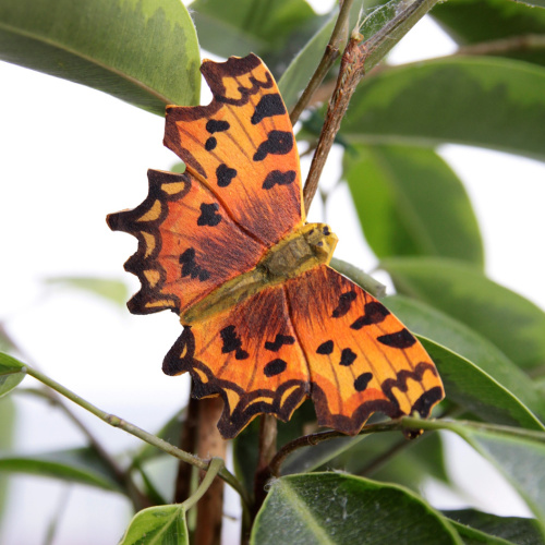 Wildlife Garden Schmetterling - das weiße C