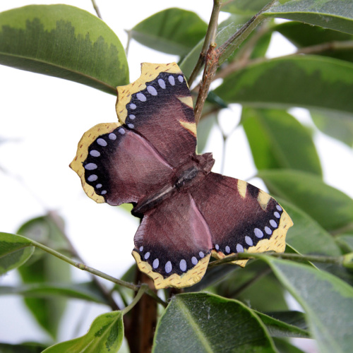 Wildlife Garden Schmetterling - Trauermantel