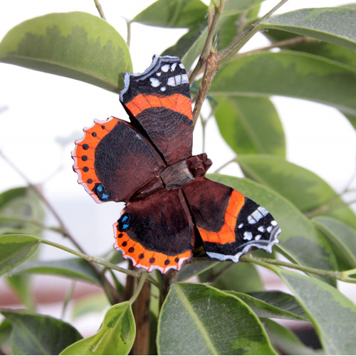 Wildlife Garden Schmetterling - Admiral