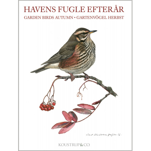 Koustrup & Co. Kartenmappe - Vögel, Herbst