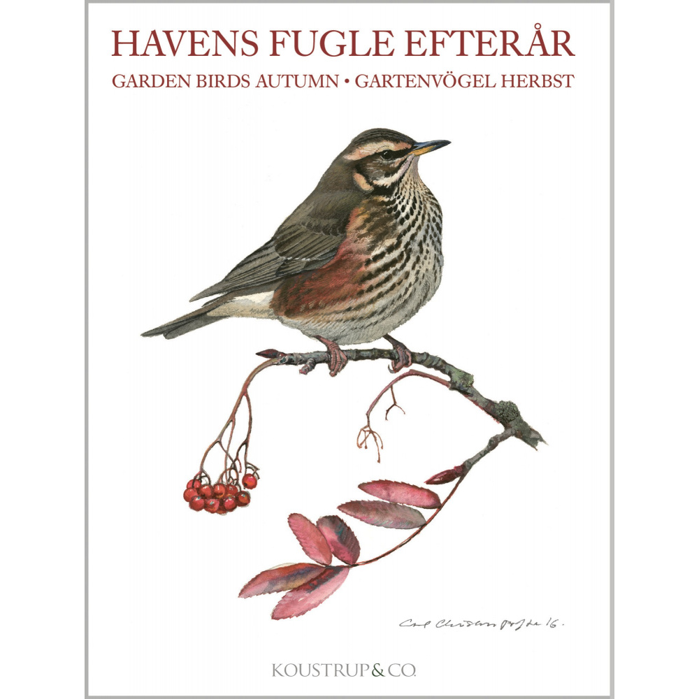 Koustrup & Co. kaartenmap - vogels, herfst - Afbeelding 4