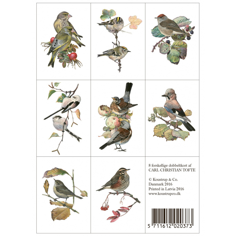 Koustrup & Co. pochette de cartes - oiseaux, automne - Image 5
